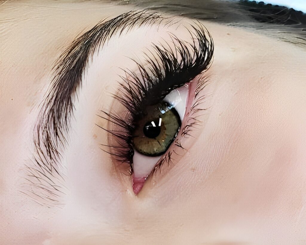 LashBrowBoutiqueDallasFortWorthDallasFortWorthsaloneyebrowsdallastxeyebrowsdallastexas (1)
