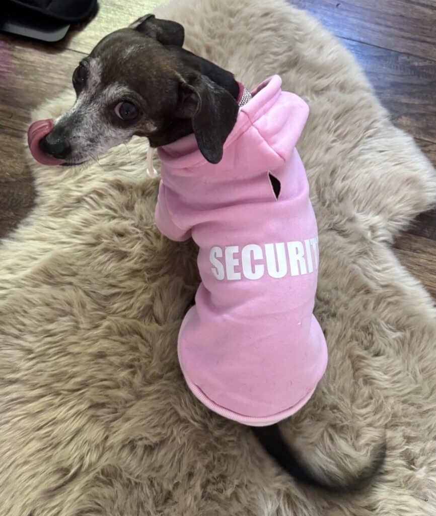 IMG 4301 (1) IMG 4301 (1)